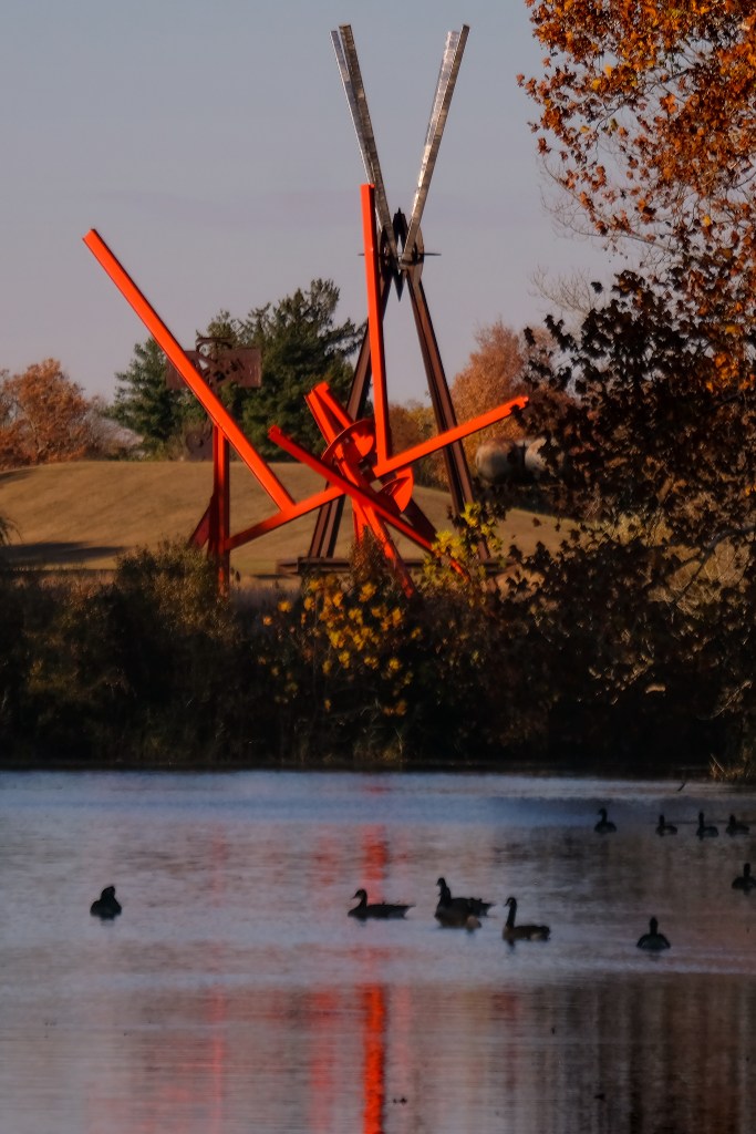 Ducks swimming in South Pond with Mark di Suvero's Figolu and E=MC2 sculptures in the background at the Storm King Art Center during the fall season